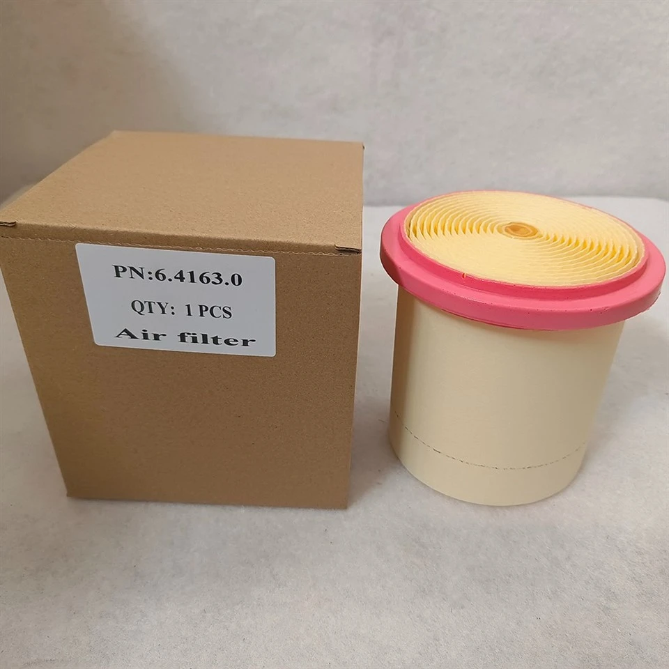 High-Performance Air Filter For Air Compressor 6.4163.0 best